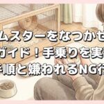 ハムスターをなつかせる完全ガイド！手乗りを実現する手順と嫌われるNG行動