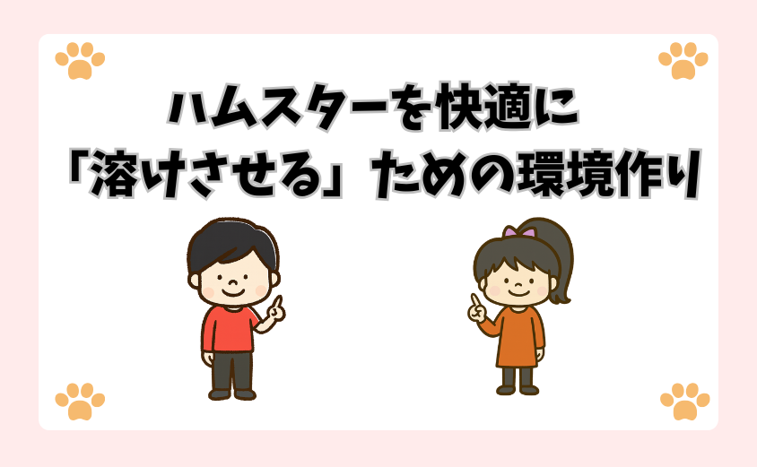ハムスターを快適に「溶けさせる」ための環境作り