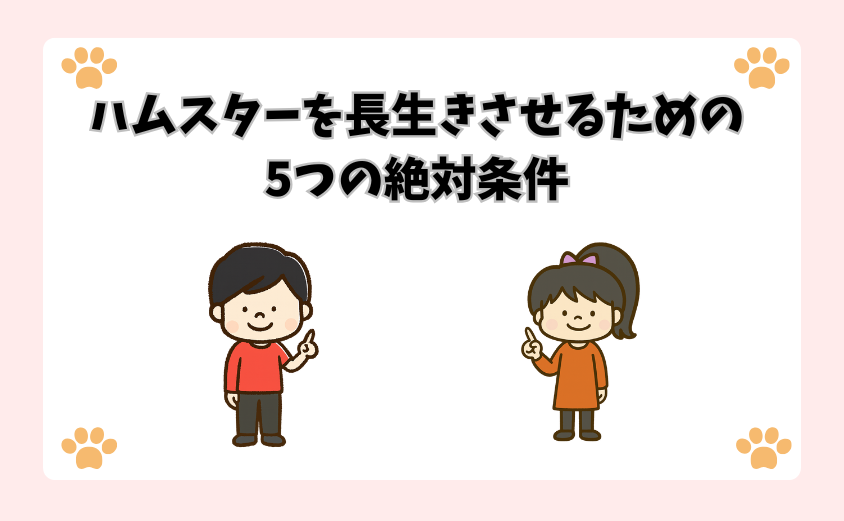 ハムスターを長生きさせるための5つの絶対条件