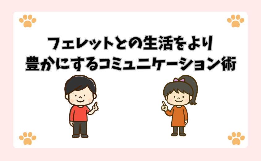 フェレットとの生活をより豊かにするコミュニケーション術