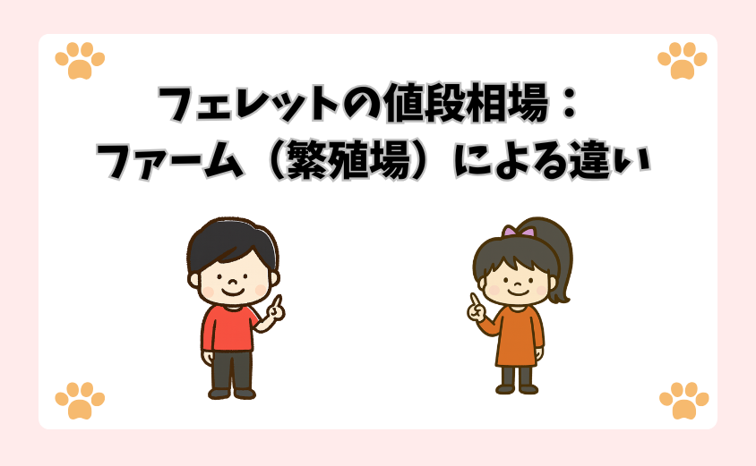 フェレットの値段相場：ファーム（繁殖場）による違い