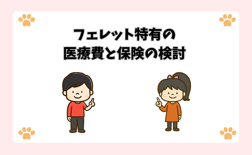 フェレット特有の医療費と保険の検討