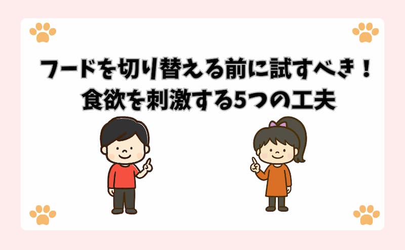 フードを切り替える前に試すべき！食欲を刺激する5つの工夫