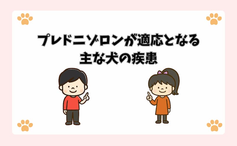 プレドニゾロンが適応となる主な犬の疾患