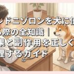 プレドニゾロンを犬に使用する際の全知識｜効果と副作用を正しく管理するガイド