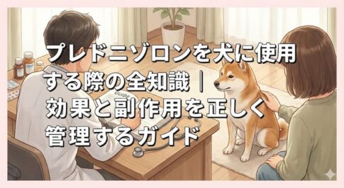 プレドニゾロンを犬に使用する際の全知識｜効果と副作用を正しく管理するガイド