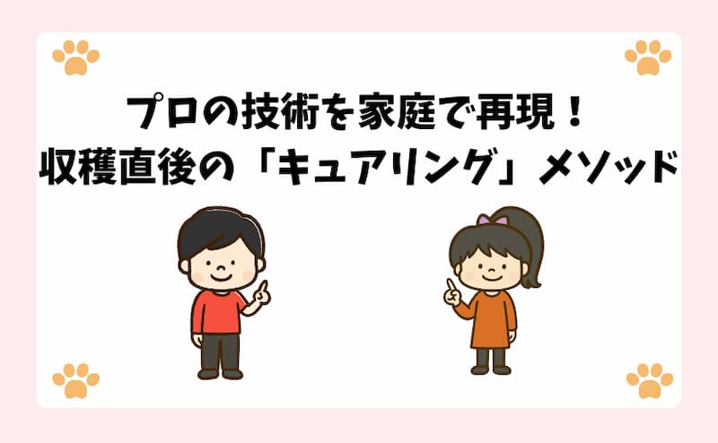プロの技術を家庭で再現！収穫直後の「キュアリング」メソッド