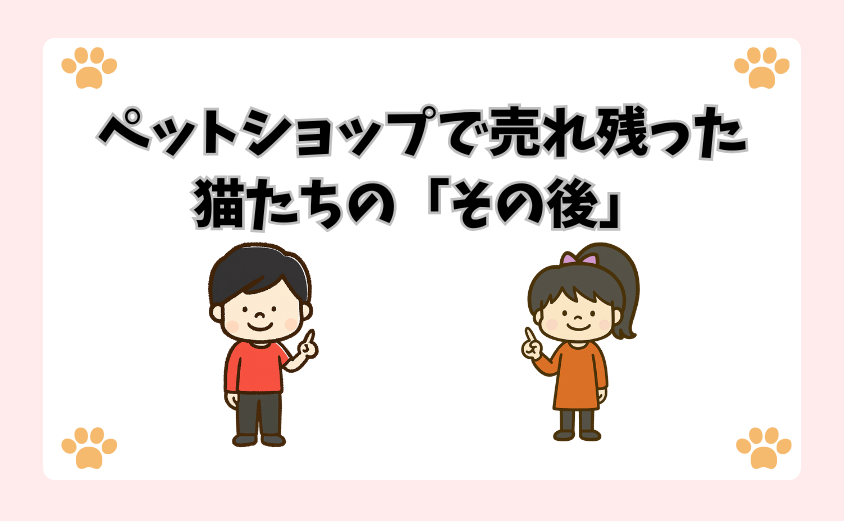 ペットショップで売れ残った猫たちの「その後」