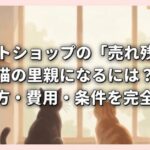 ペットショップの「売れ残り」猫の里親になるには？｜探し方・費用・条件を完全解説
