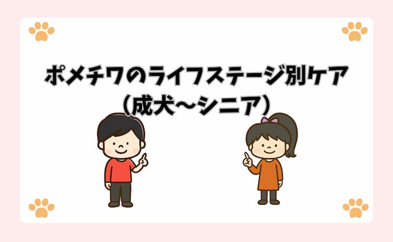 ポメチワのライフステージ別ケア（成犬〜シニア）