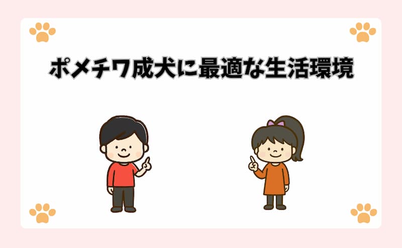 ポメチワ成犬に最適な生活環境