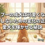 ポメプーの成犬は可愛くない？後悔しないための変化の正体と愛犬を輝かせる秘訣