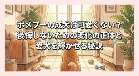 ポメプーの成犬は可愛くない？後悔しないための変化の正体と愛犬を輝かせる秘訣