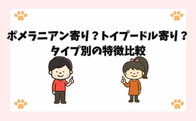 ポメラニアン寄り？トイプードル寄り？タイプ別の特徴比較