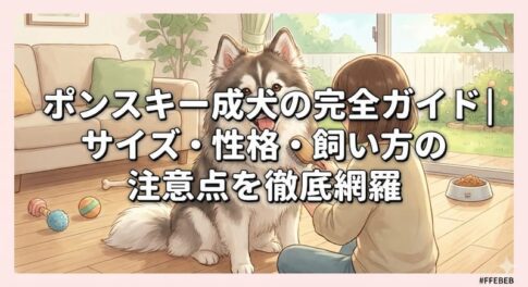 ポンスキー成犬の完全ガイド｜サイズ・性格・飼い方の注意点を徹底網羅