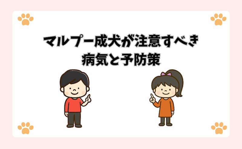 マルプー成犬が注意すべき病気と予防策