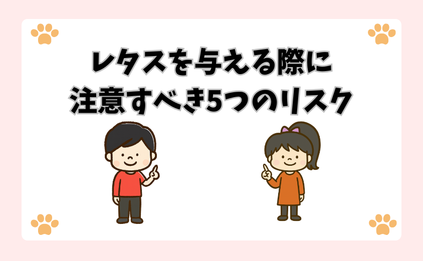 レタスを与える際に注意すべき5つのリスク