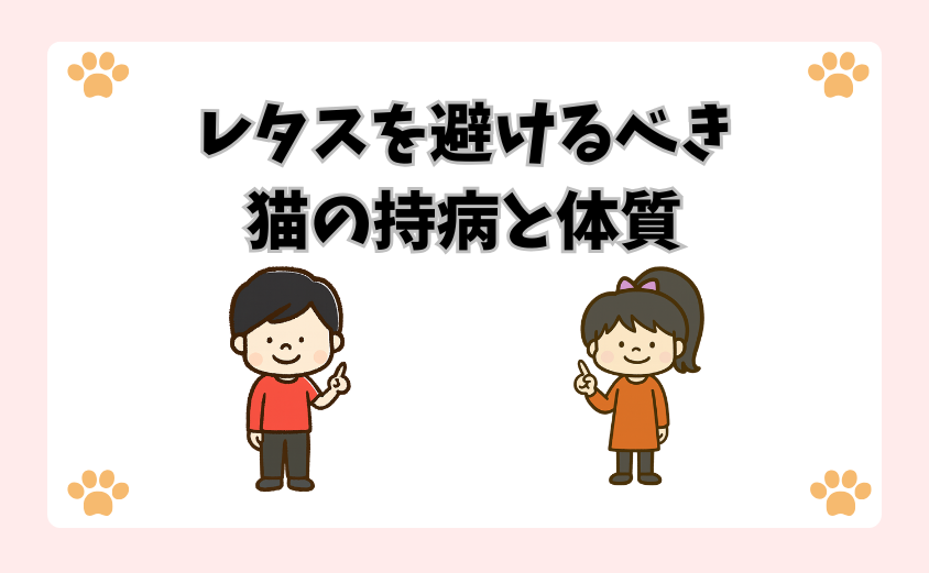 レタスを避けるべき猫の持病と体質