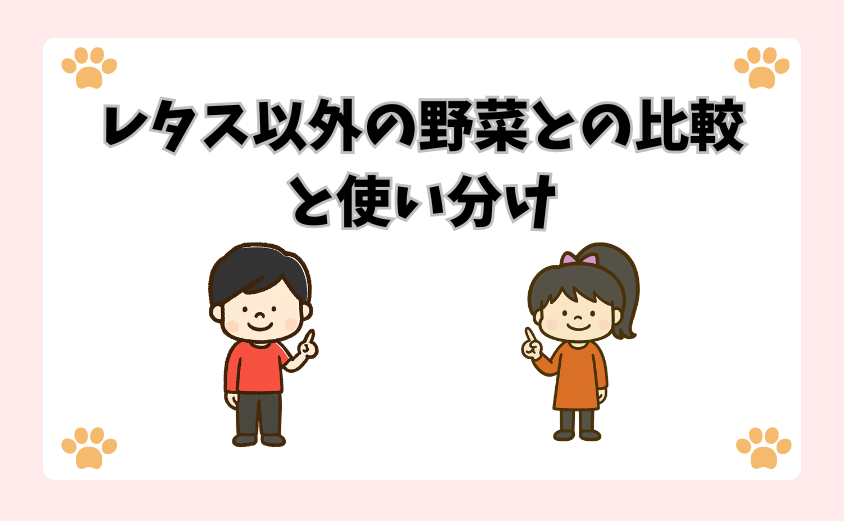 レタス以外の野菜との比較と使い分け