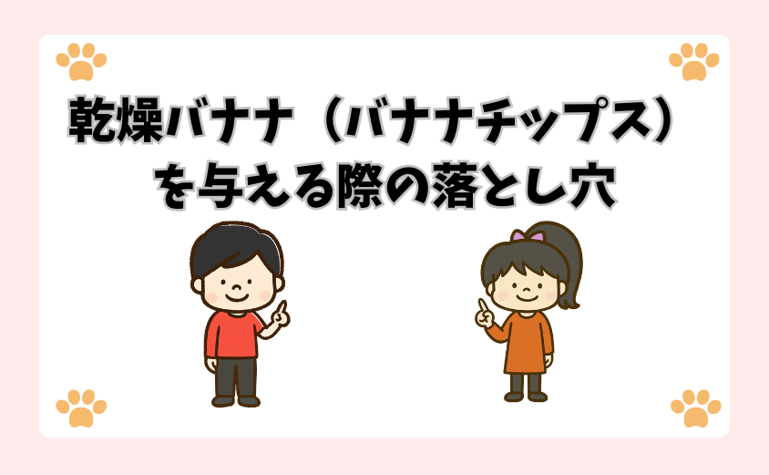 乾燥バナナ（バナナチップス