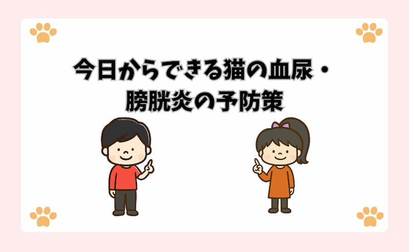 今日からできる猫の血尿・膀胱炎の予防策
