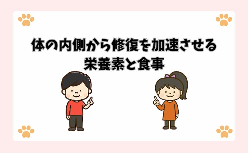 体の内側から修復を加速させる栄養素と食事