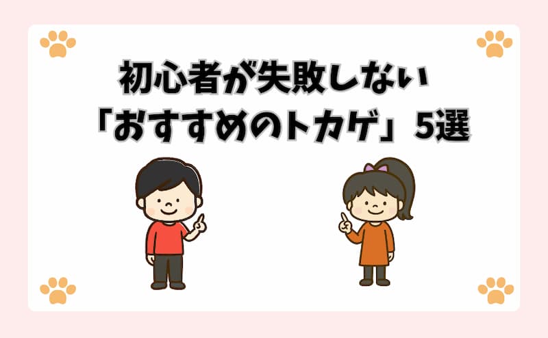 初心者が失敗しない「おすすめのトカゲ」5選