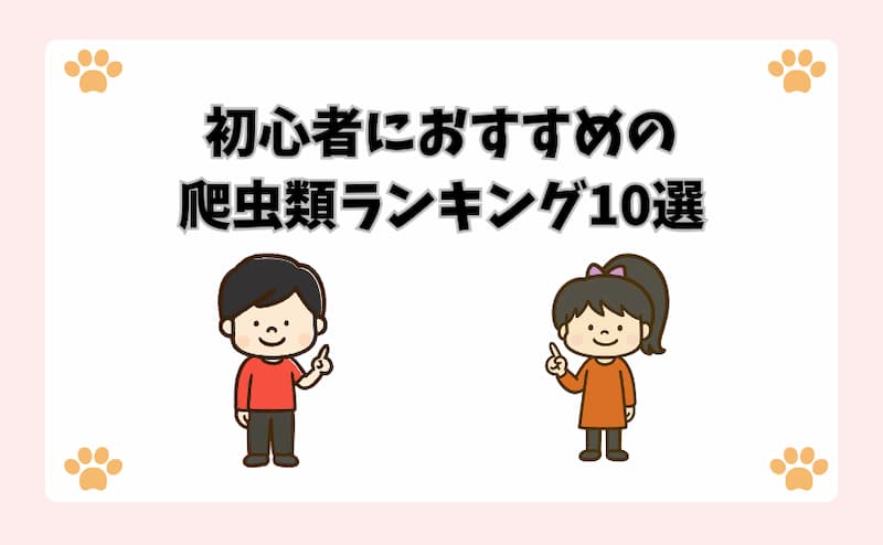 初心者におすすめの爬虫類ランキング10選