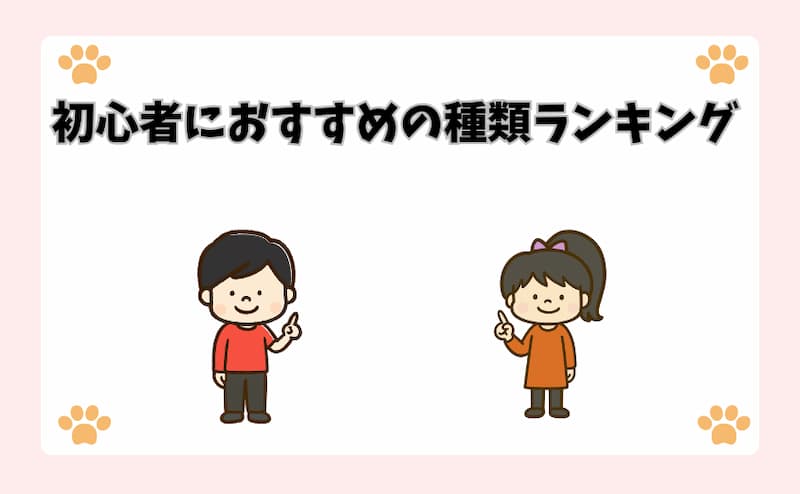 初心者におすすめの種類ランキング