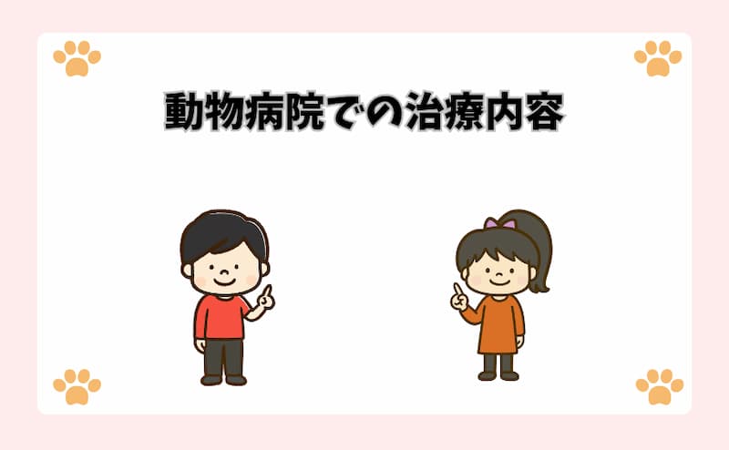 動物病院での治療内容