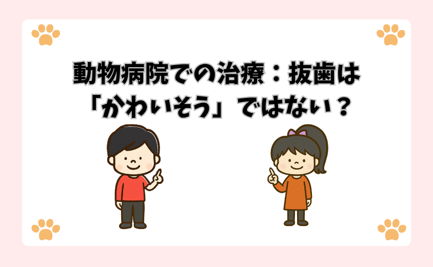 動物病院での治療：抜歯は「かわいそう」ではない？