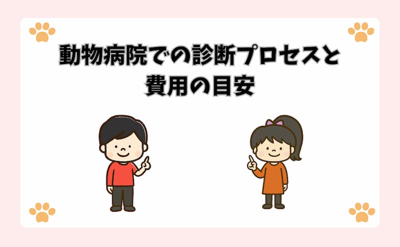 動物病院での診断プロセスと費用の目安