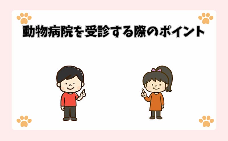 動物病院を受診する際のポイント