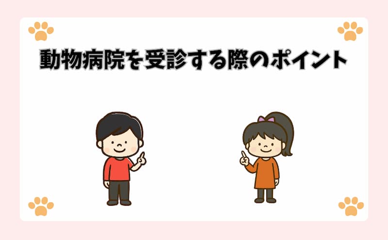 動物病院を受診する際のポイント