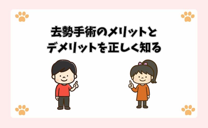 去勢手術のメリットとデメリットを正しく知る