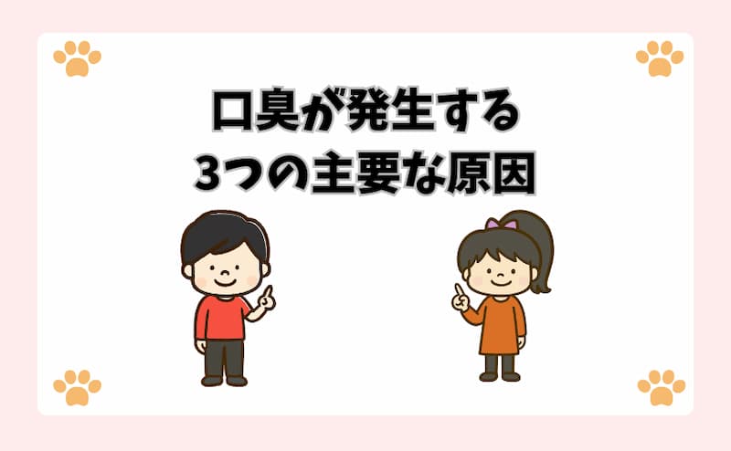 口臭が発生する3つの主要な原因
