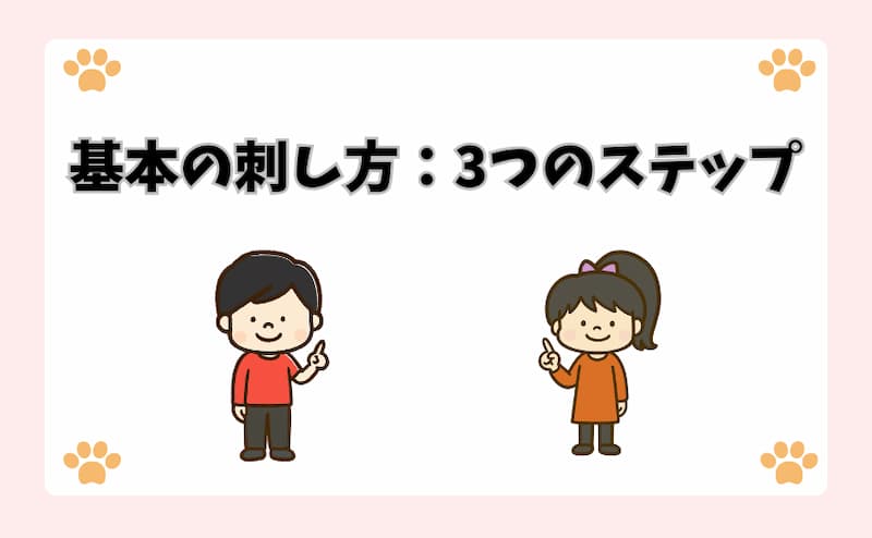 基本の刺し方：3つのステップ
