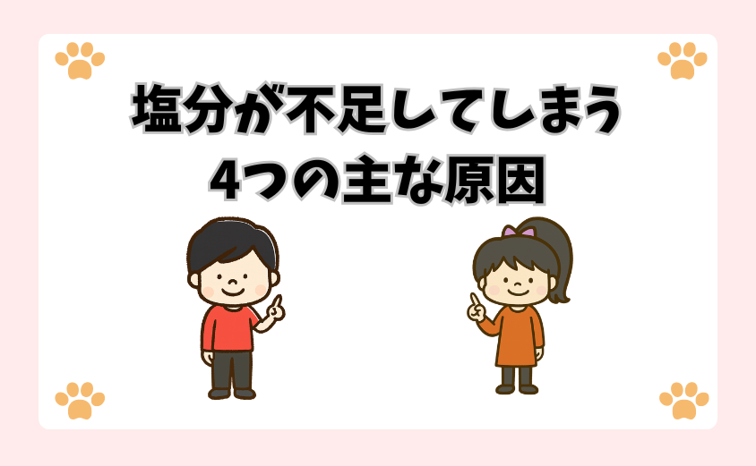 塩分が不足してしまう4つの主な原因