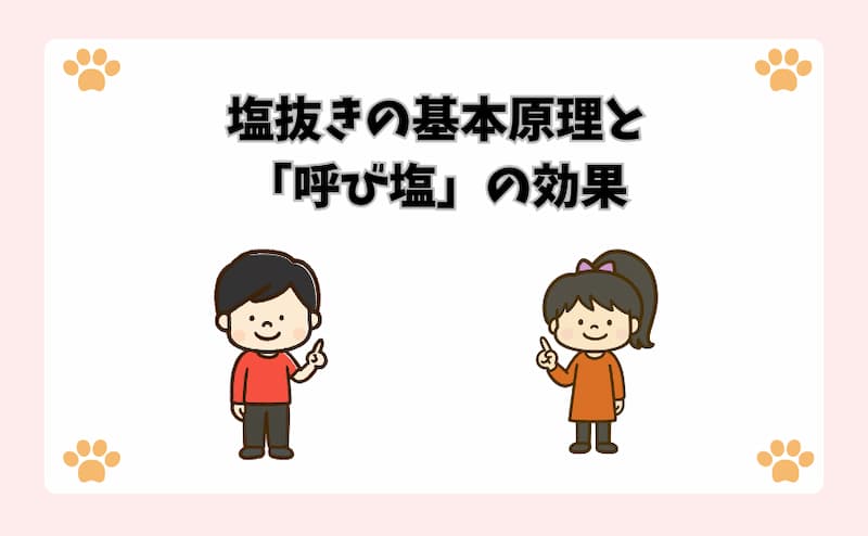 塩抜きの基本原理と「呼び塩」の効果