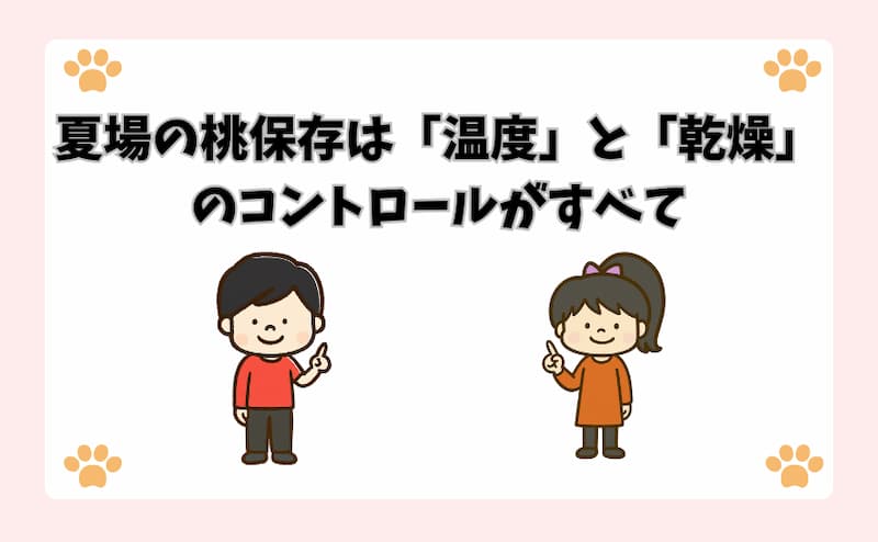 夏場の桃保存は「温度」と「乾燥」のコントロールがすべて