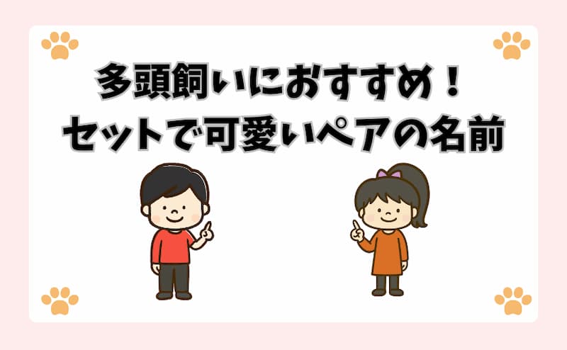 多頭飼いにおすすめ！セットで可愛いペアの名前