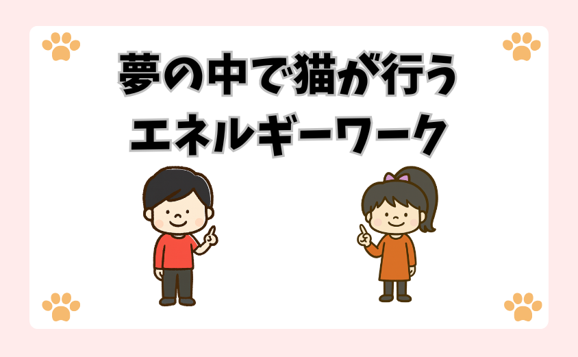 夢の中で猫が行うエネルギーワーク