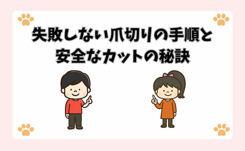 失敗しない爪切りの手順と安全なカットの秘訣