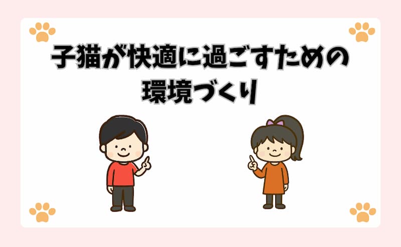 子猫が快適に過ごすための環境づくり