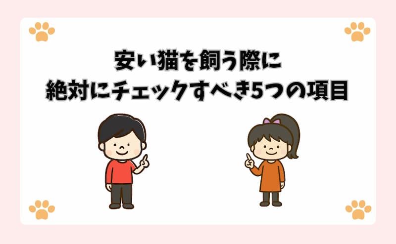 安い猫を飼う際に絶対にチェックすべき5つの項目