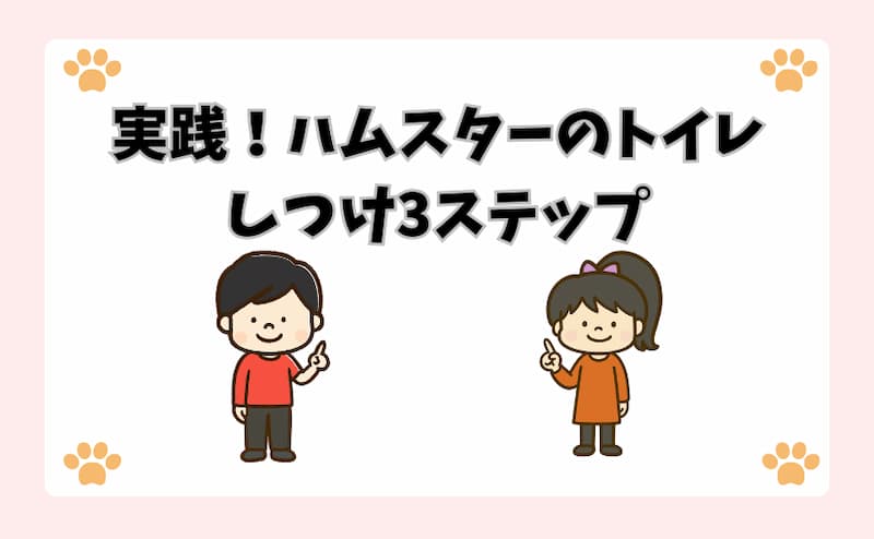 実践！ハムスターのトイレしつけ3ステップ