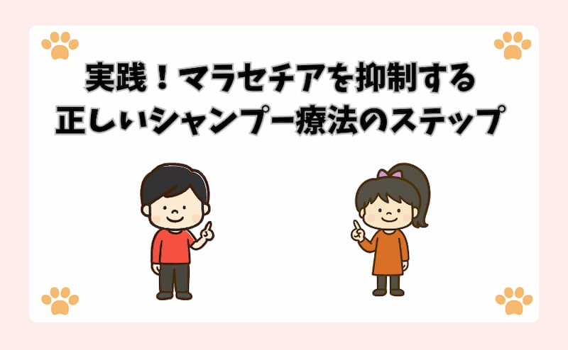 実践！マラセチアを抑制する正しいシャンプー療法のステップ