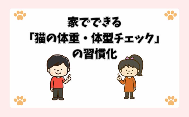 家でできる「猫の体重・体型チェック」の習慣化