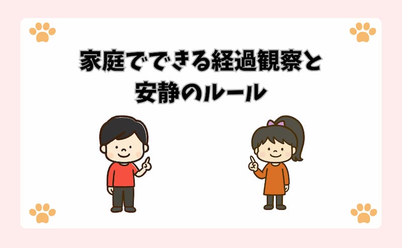 家庭でできる経過観察と安静のルール