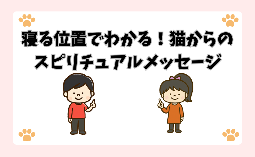 寝る位置でわかる！猫からのスピリチュアルメッセージ